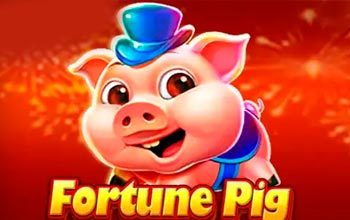 Fortune Pig